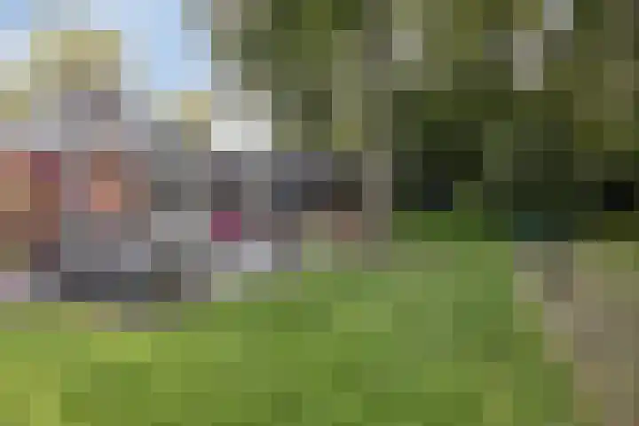 Nieuwland 12 Wapse thumbnail 28