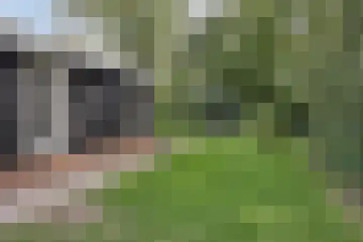 Nieuwland 12 Wapse thumbnail 29