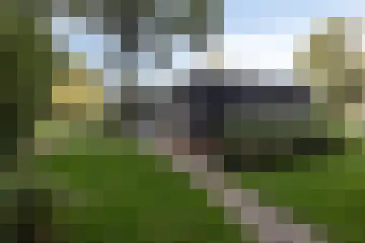 Nieuwland 12 Wapse thumbnail 30