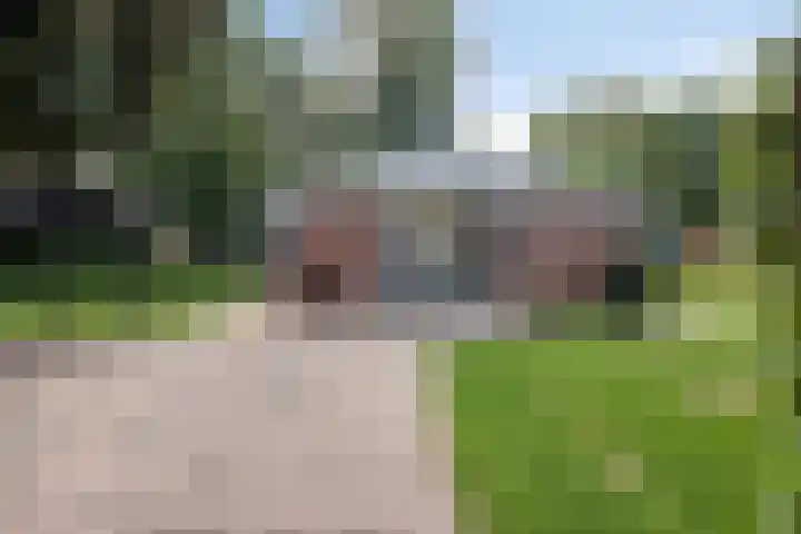 Nieuwland 12 Wapse thumbnail 34