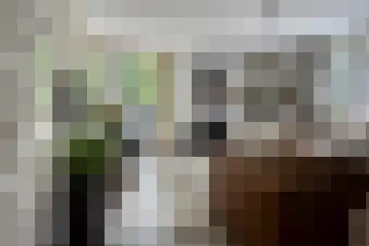 Nieuwland 12 Wapse thumbnail 4