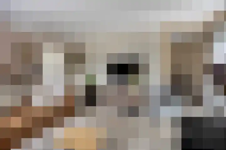 Nieuwland 12 Wapse thumbnail 6