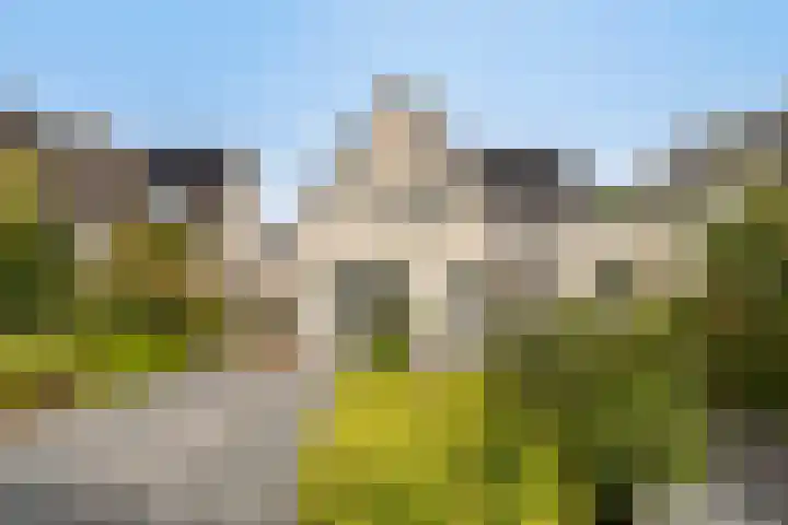 Nieuwland 13 Bergen op Zoom thumbnail 26
