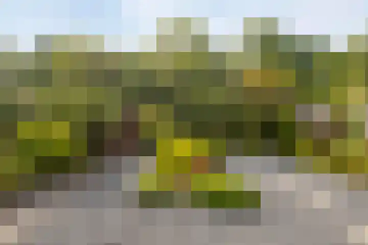 Nieuwland 13 Bergen op Zoom thumbnail 30