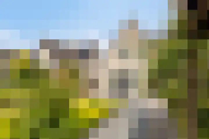 Nieuwland 13 Bergen op Zoom thumbnail 31