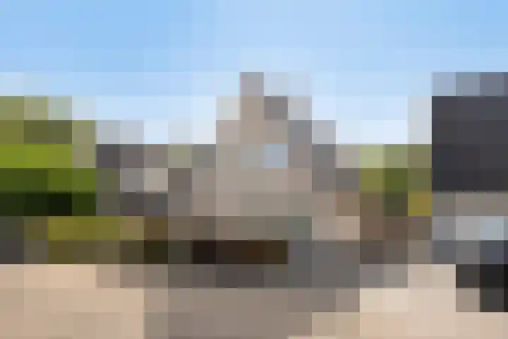 Nieuwland 13 Bergen op Zoom thumbnail 33
