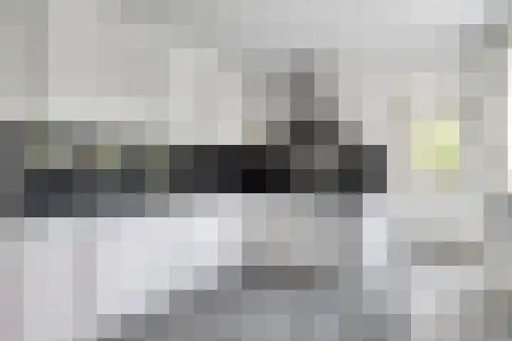 Nieuwland 13 Bergen op Zoom thumbnail 8