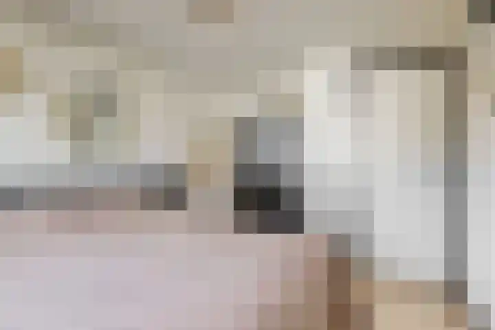 Nieuwland 13 Uitgeest thumbnail 19