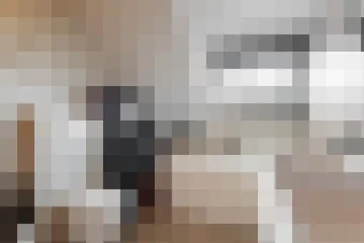 Nieuwland 13 Uitgeest thumbnail 20