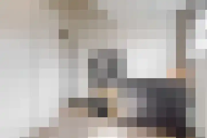 Nieuwland 13 Uitgeest thumbnail 25