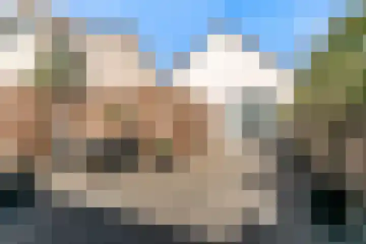 Nieuwland 13 Uitgeest thumbnail 26