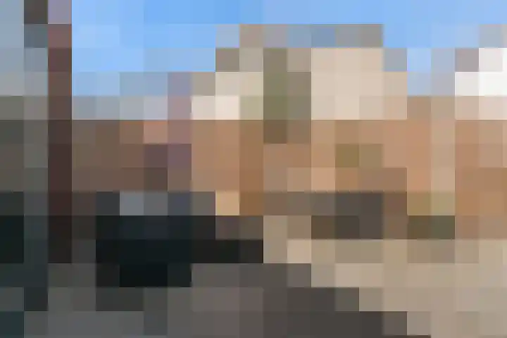 Nieuwland 13 Uitgeest thumbnail 28