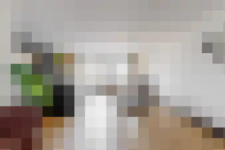 Nieuwland 13 Uitgeest thumbnail 6