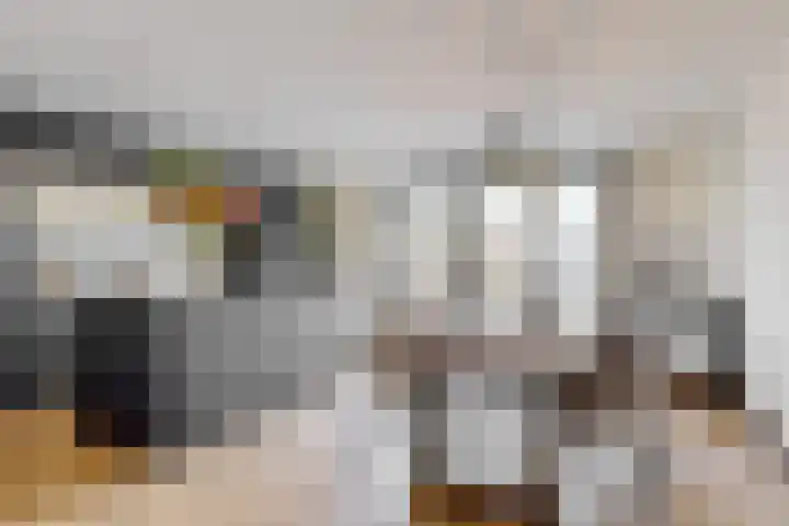 Nieuwland 13 Uitgeest thumbnail 7