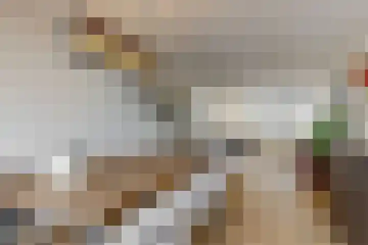 Nieuwland 13 Uitgeest thumbnail 9