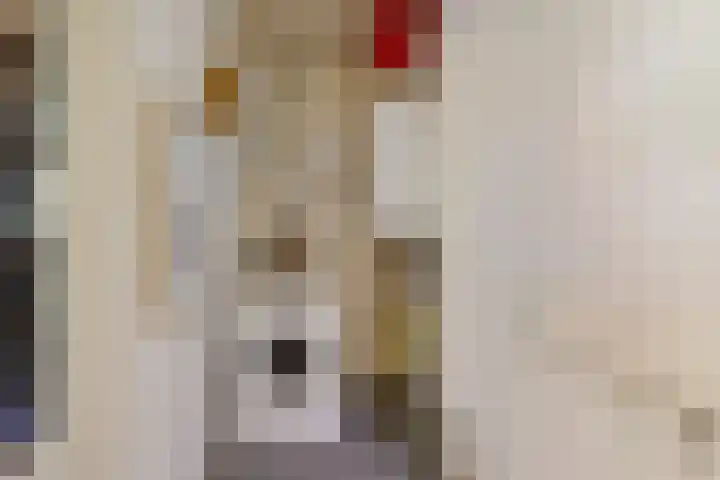 Nieuwland 16 Wapse thumbnail 12