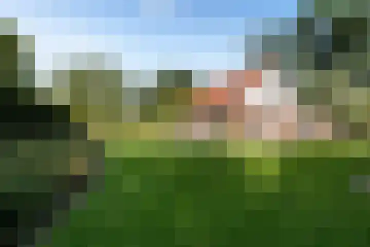 Nieuwland 16 Wapse thumbnail 19