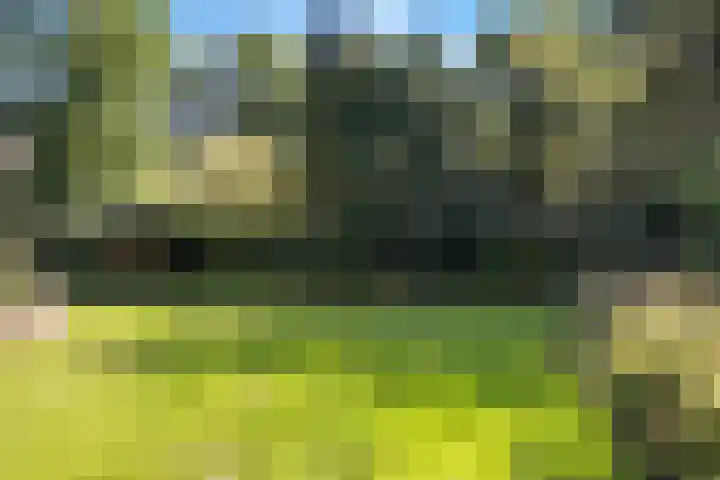 Nieuwland 16 Wapse thumbnail 20