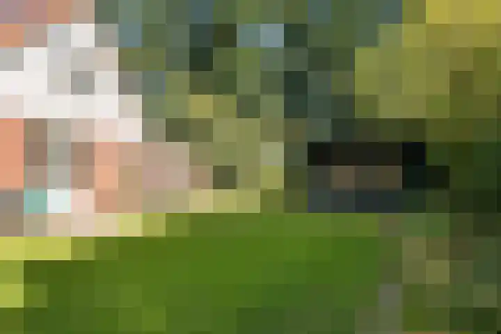 Nieuwland 16 Wapse thumbnail 21