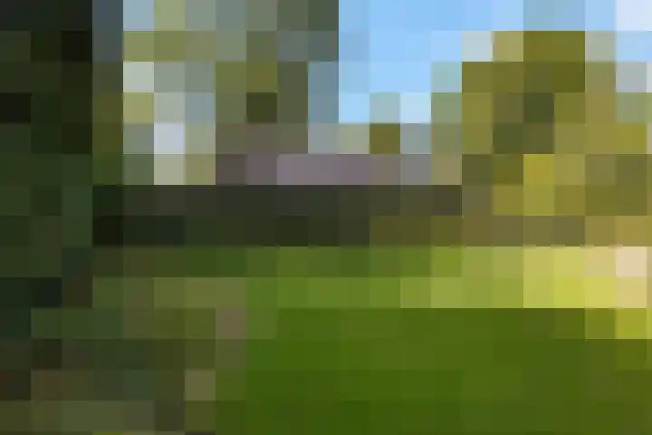 Nieuwland 16 Wapse thumbnail 22