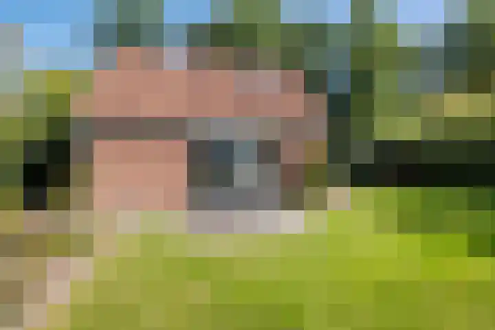 Nieuwland 16 Wapse thumbnail 23