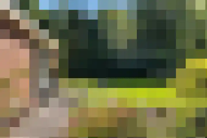 Nieuwland 16 Wapse thumbnail 24