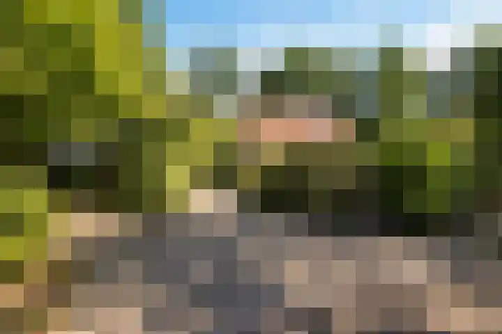 Nieuwland 16 Wapse thumbnail 29