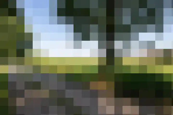 Nieuwland 16 Wapse thumbnail 30