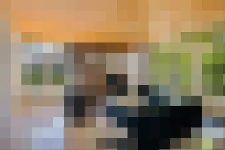 Nieuwland 16 Wapse thumbnail 4