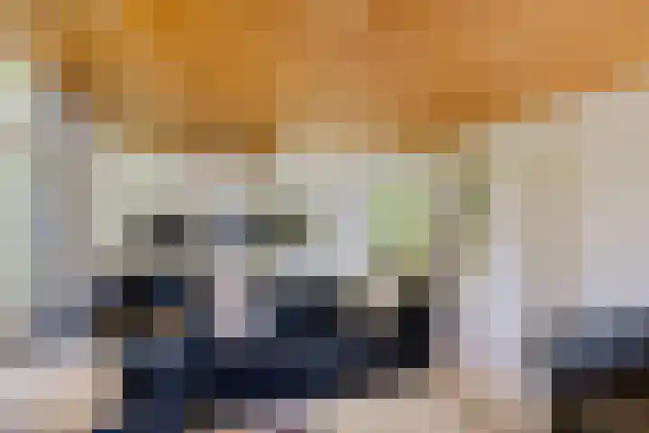 Nieuwland 16 Wapse thumbnail 6
