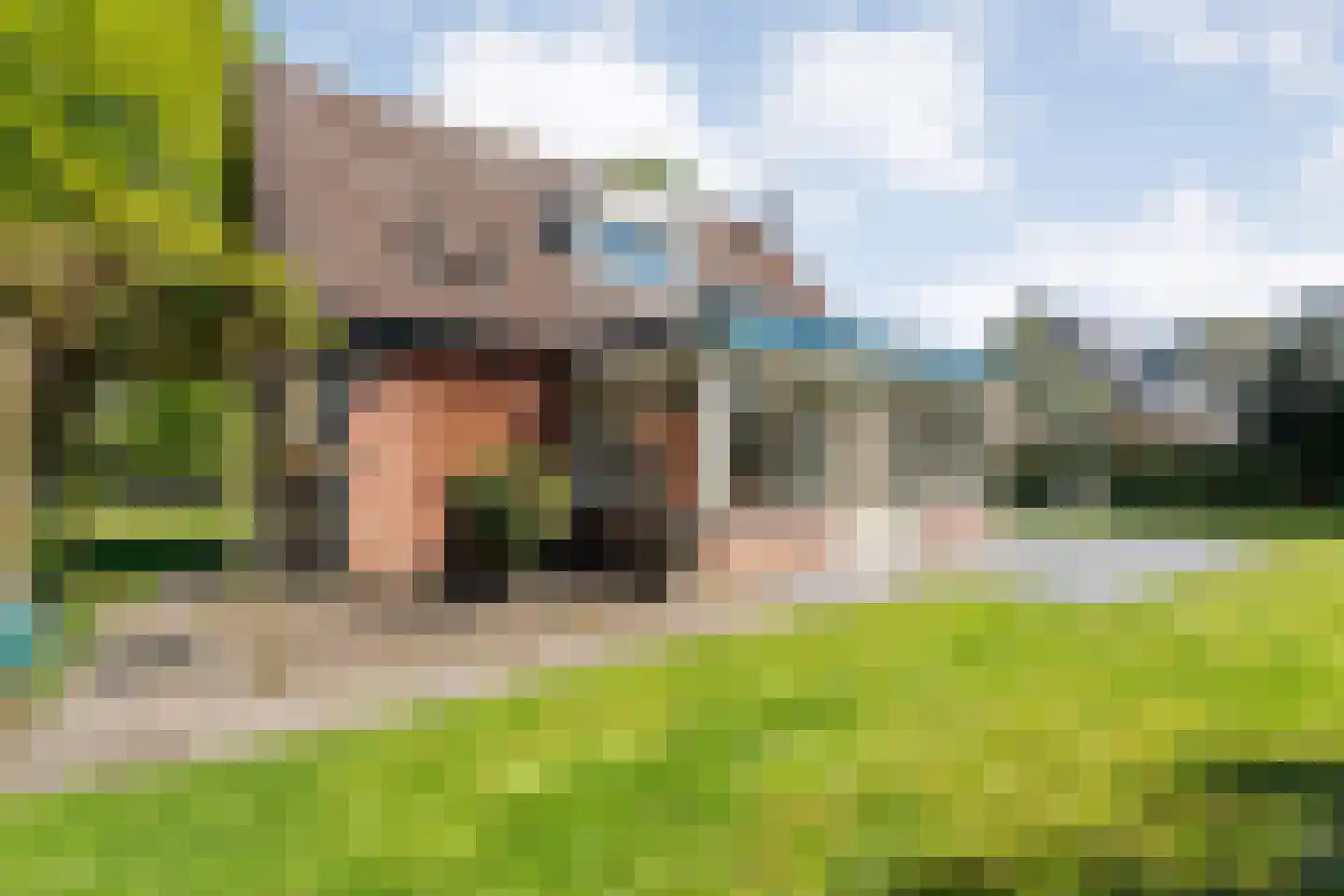 Nieuwland 17 Wapse thumbnail 27
