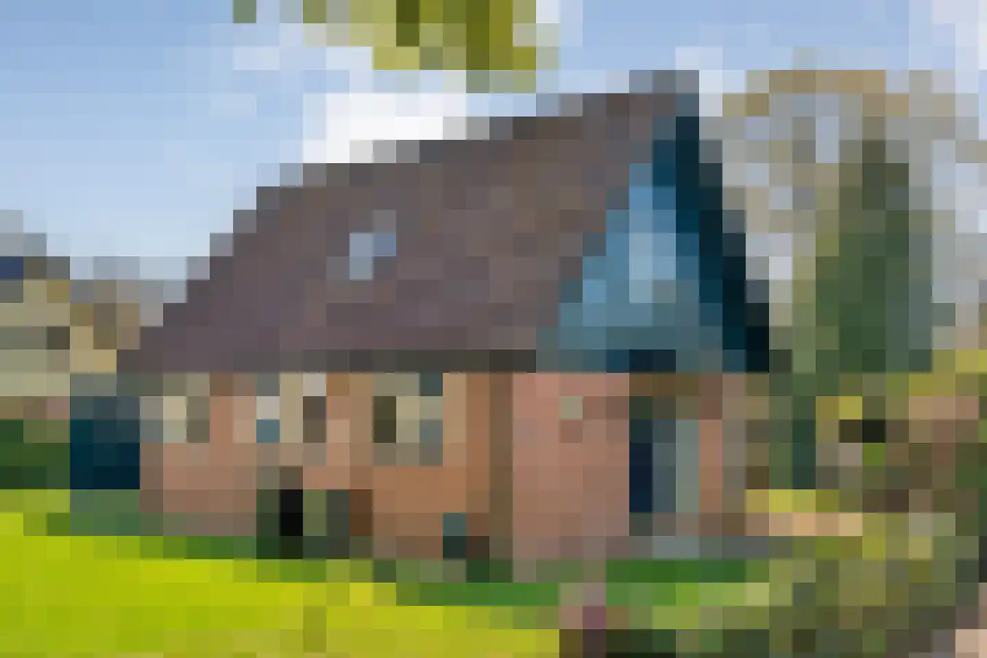 Nieuwland 17 Wapse foto 3