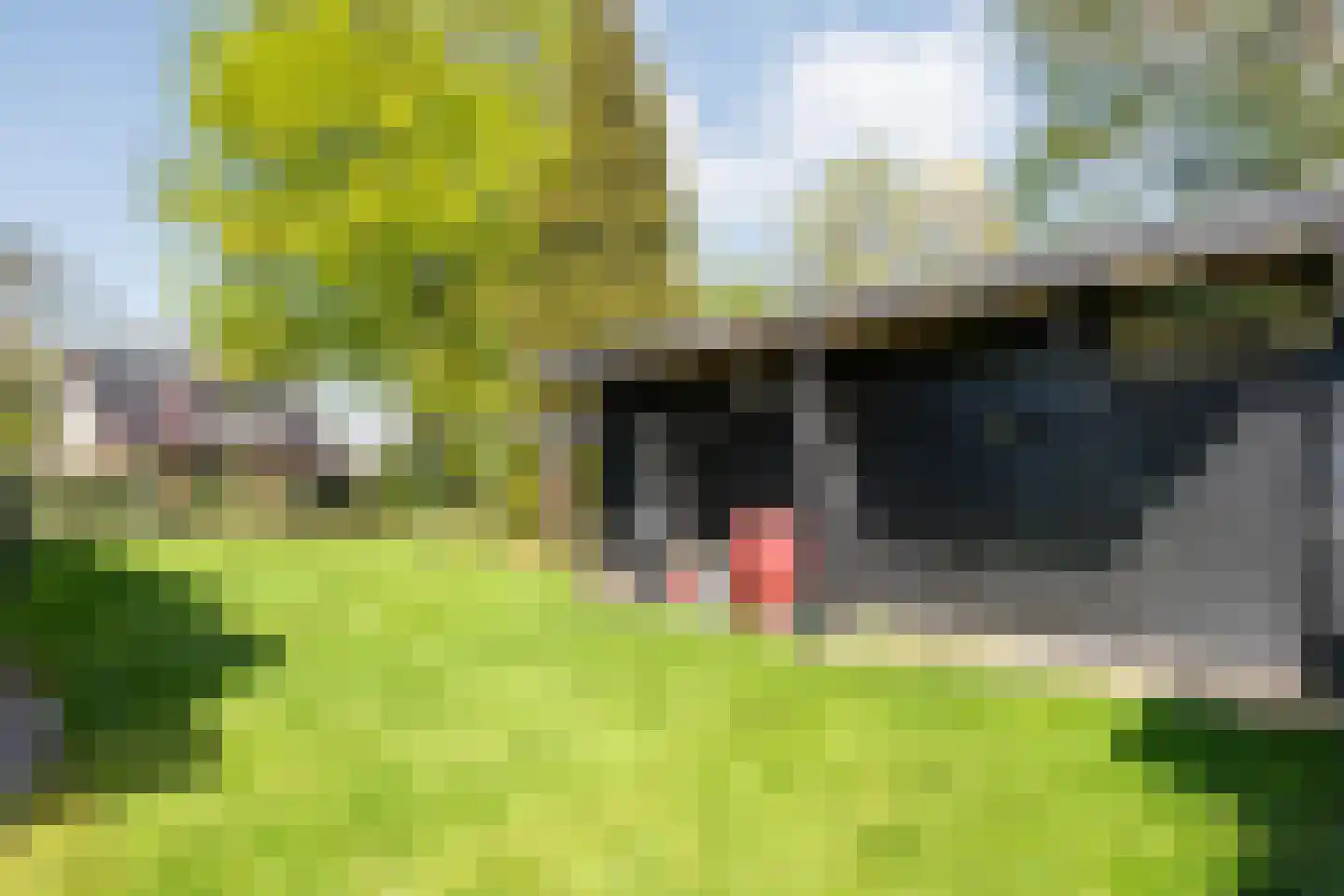 Nieuwland 17 Wapse thumbnail 31