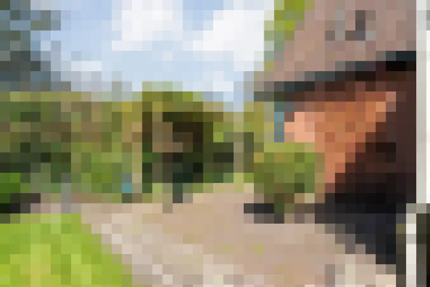 Nieuwland 17 Wapse thumbnail 33