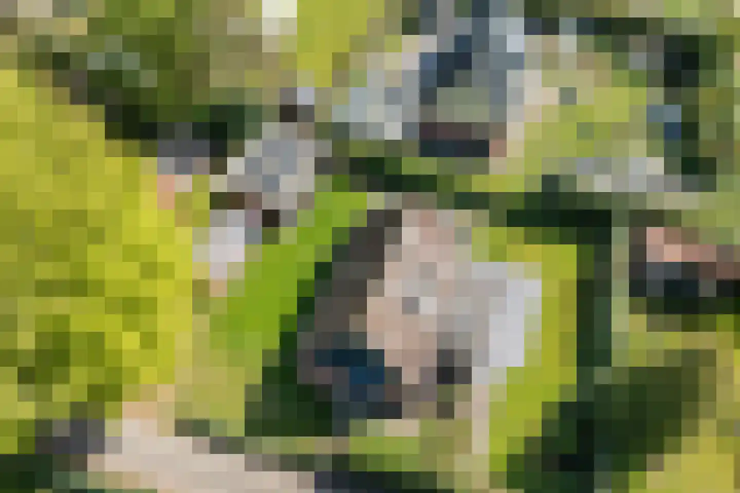 Nieuwland 17 Wapse thumbnail 34