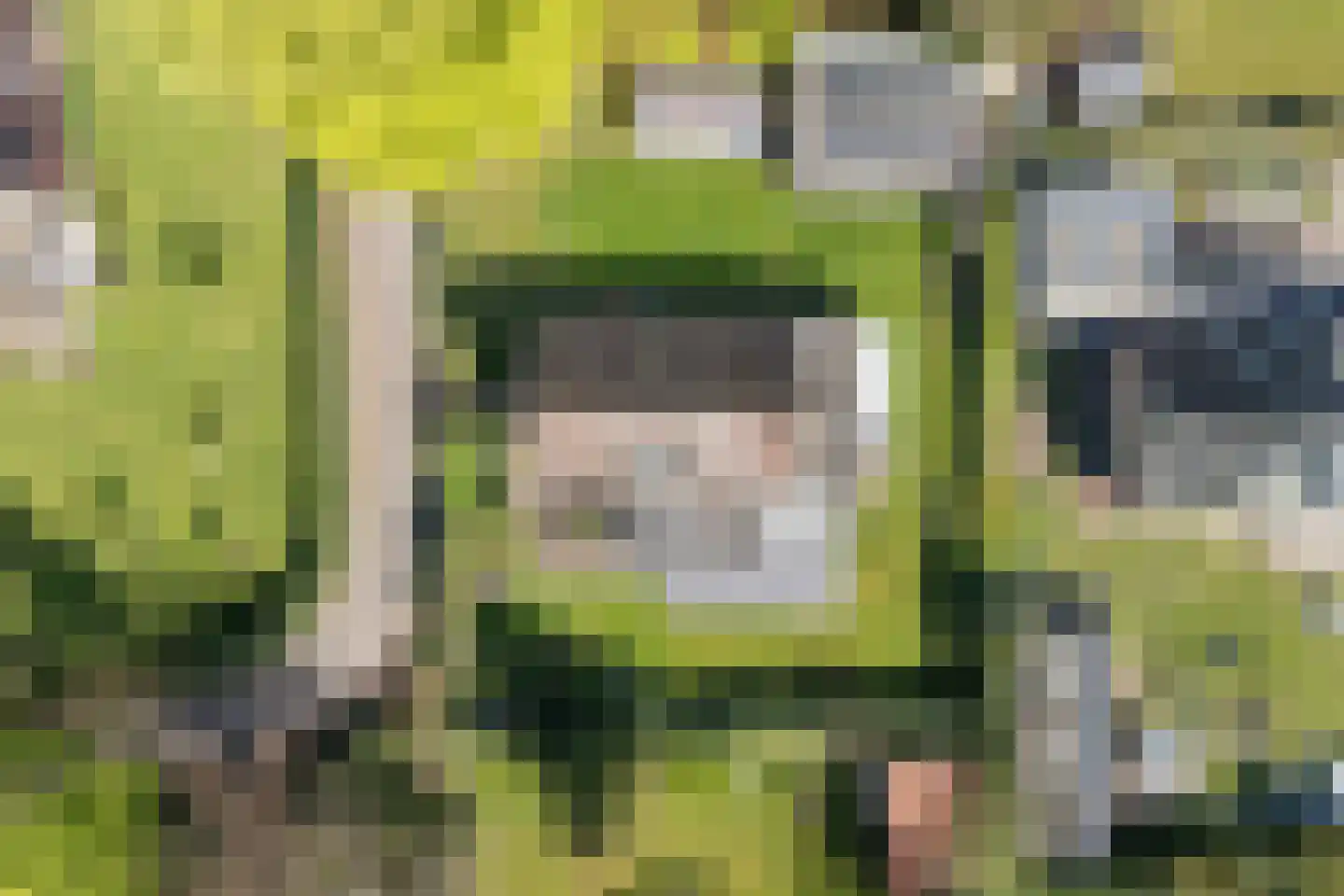 Nieuwland 17 Wapse thumbnail 35