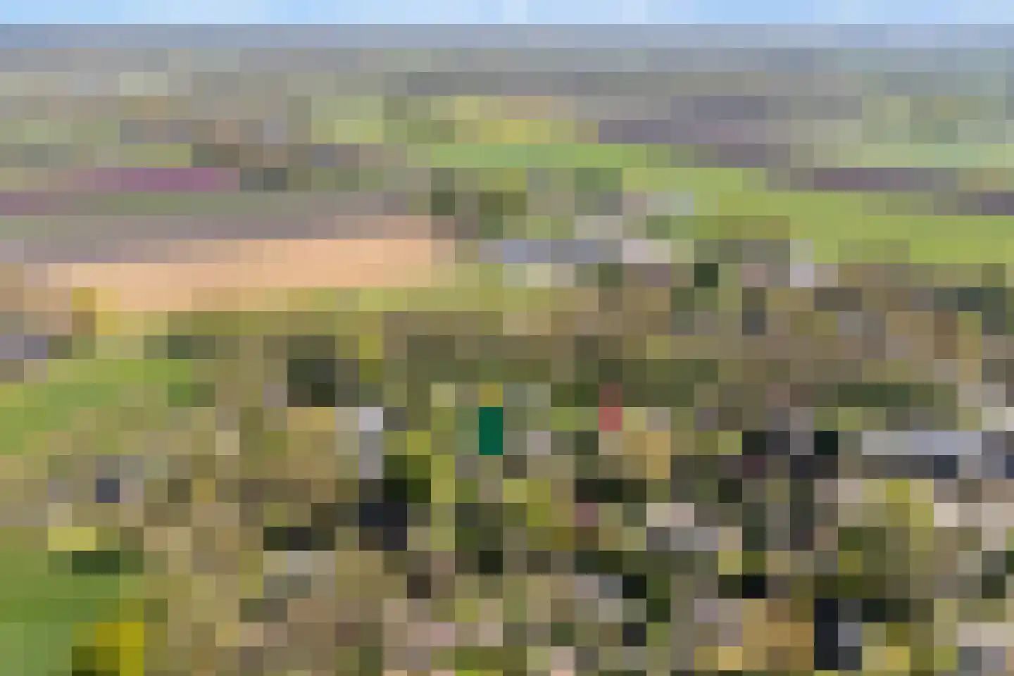 Nieuwland 17 Wapse thumbnail 5