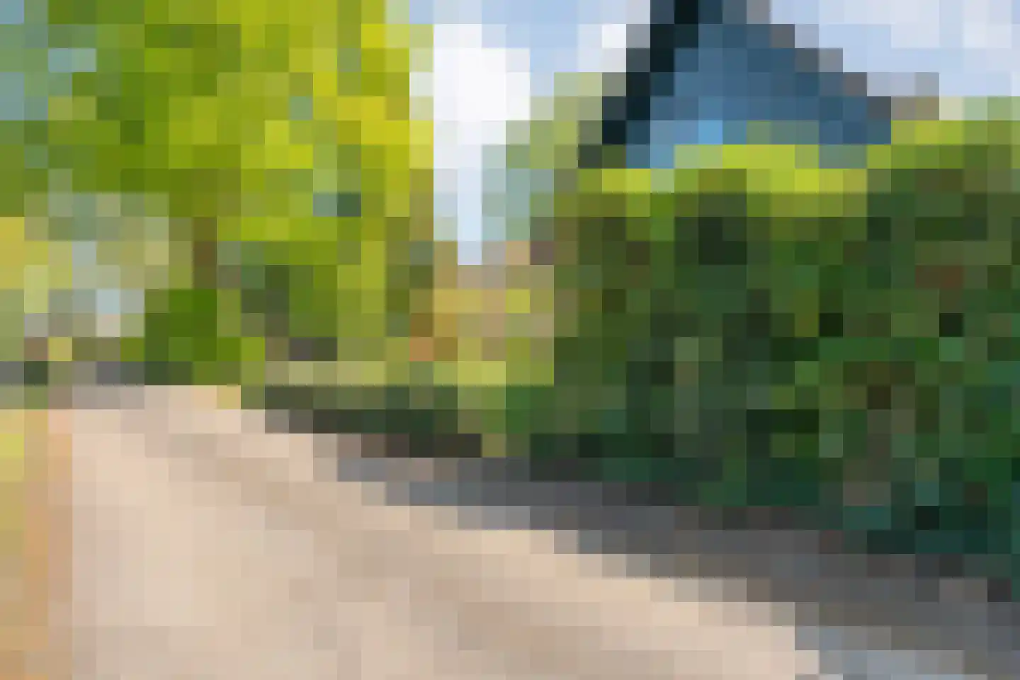 Nieuwland 17 Wapse thumbnail 8