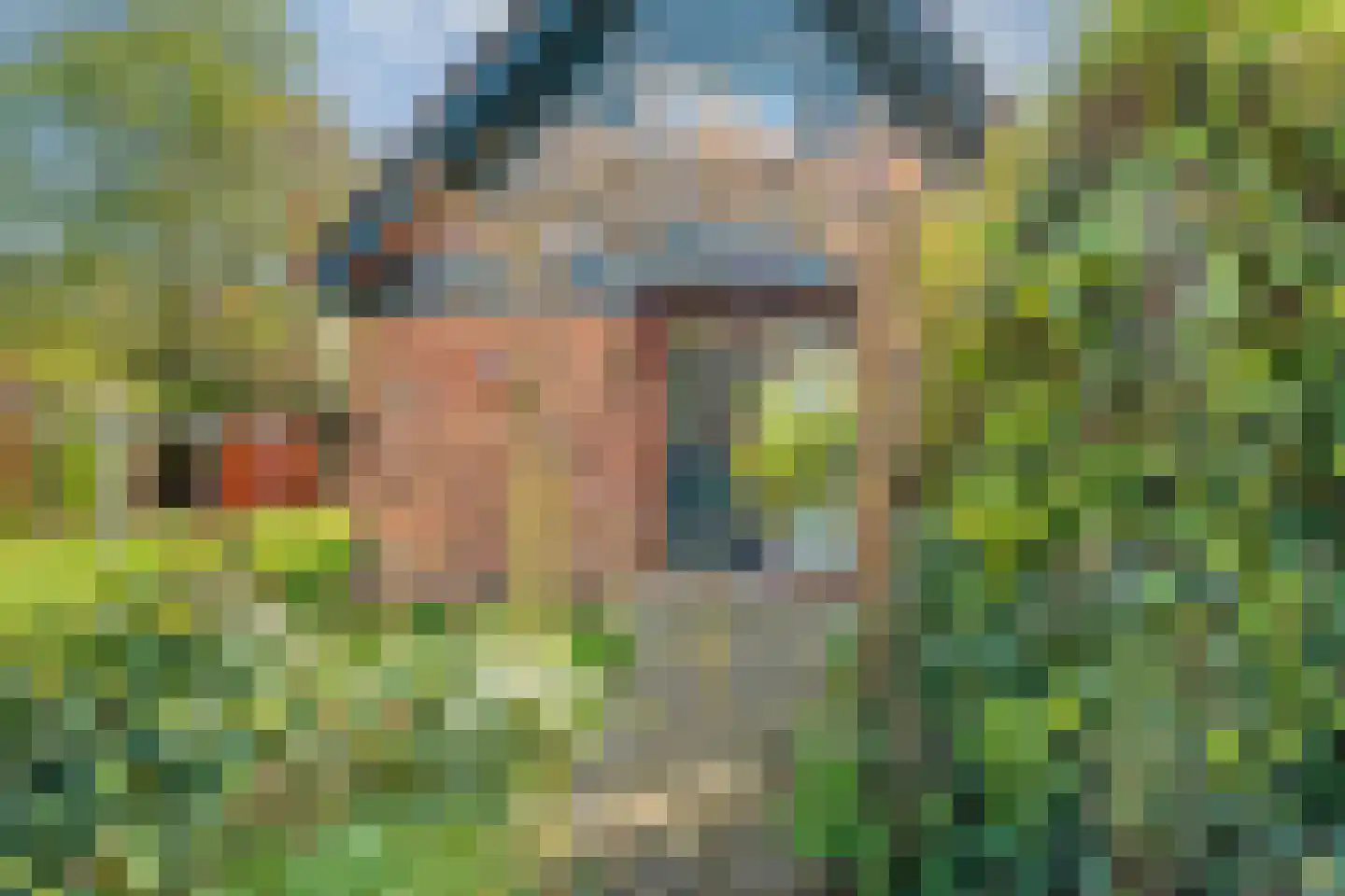 Nieuwland 17 Wapse thumbnail 9