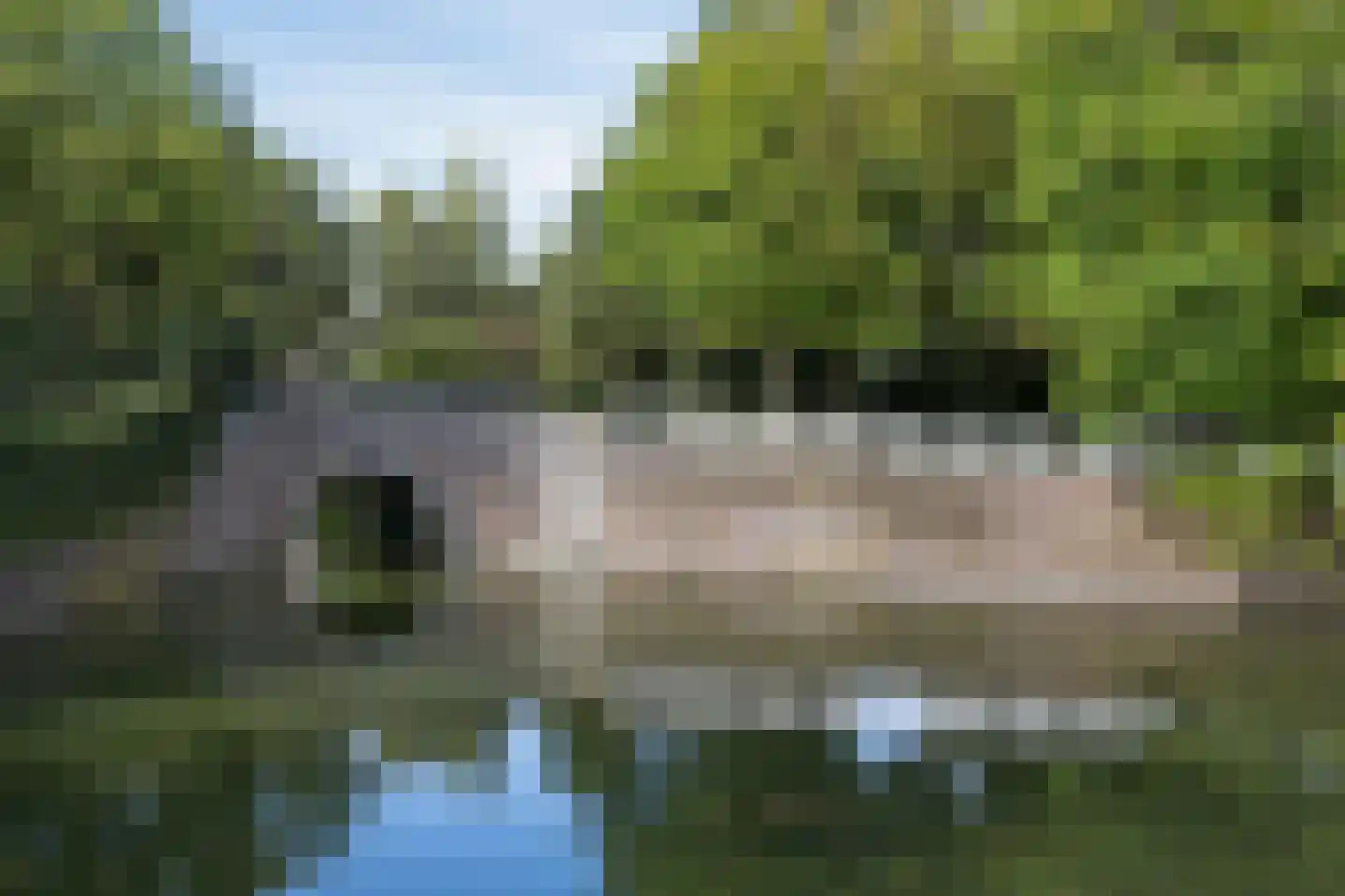 Nieuwland 24 Hoorn thumbnail 31
