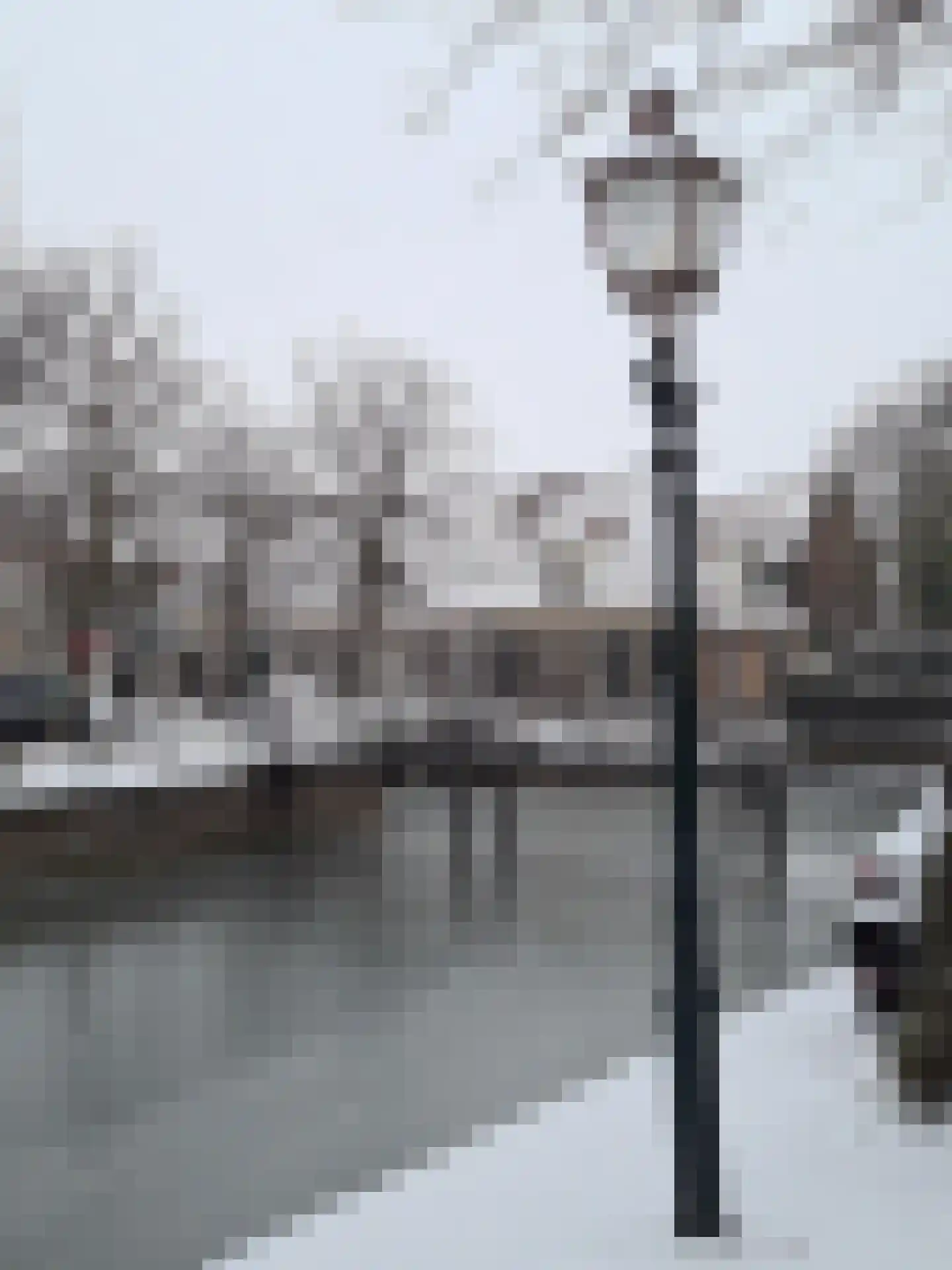 Nieuwland 24 Hoorn thumbnail 35