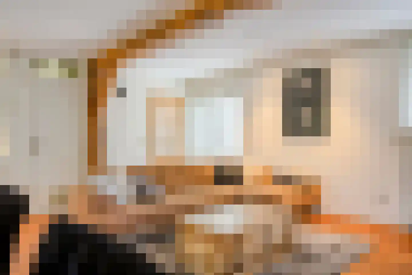 Nieuwland 3 Wapse thumbnail 11
