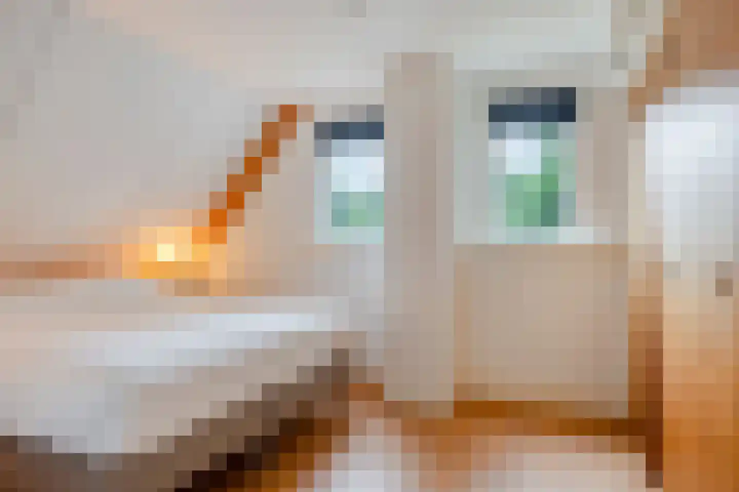 Nieuwland 3 Wapse thumbnail 23