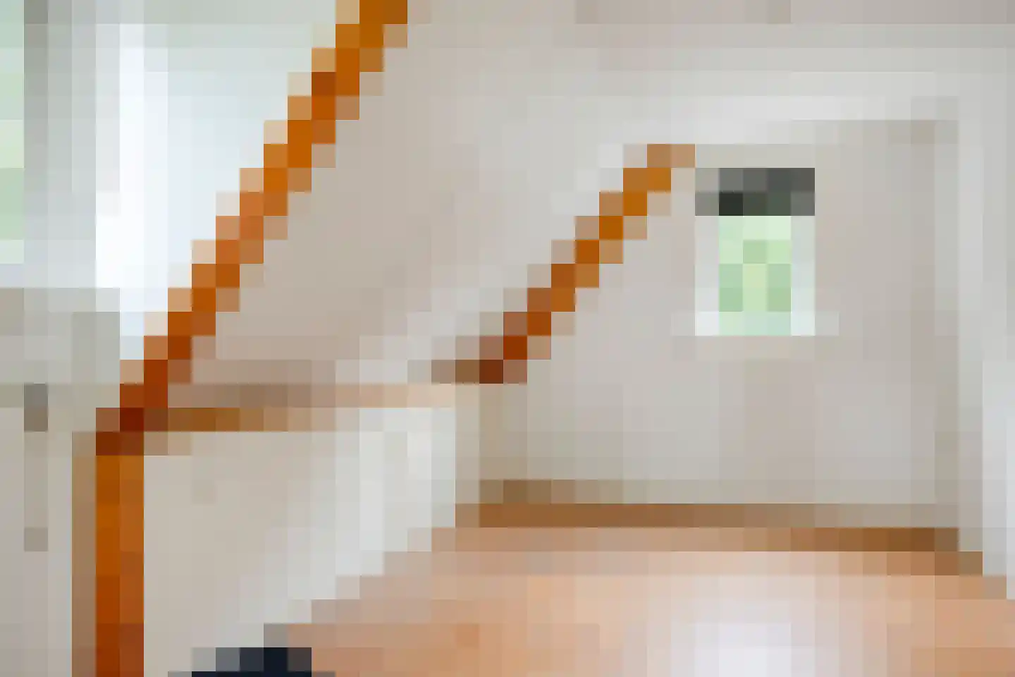 Nieuwland 3 Wapse thumbnail 26