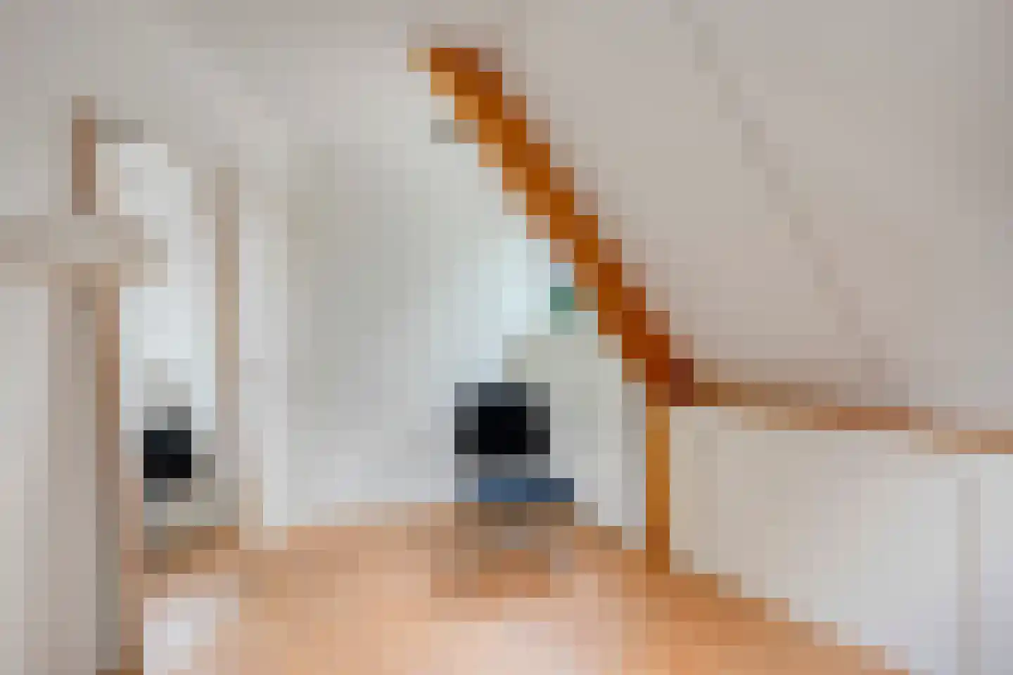 Nieuwland 3 Wapse thumbnail 27