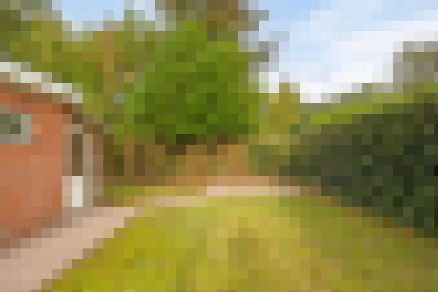 Nieuwland 3 Wapse thumbnail 32