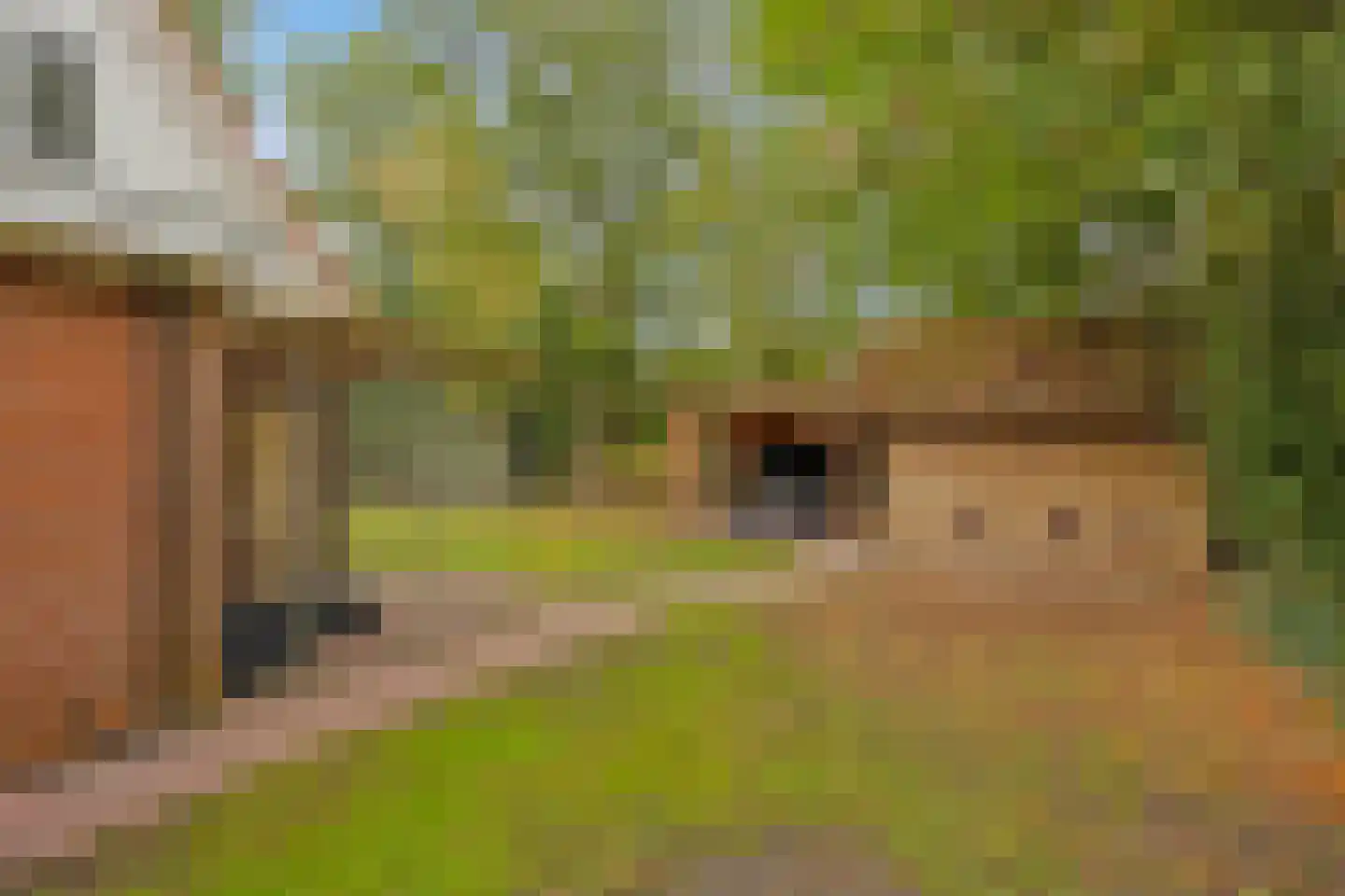 Nieuwland 3 Wapse thumbnail 33