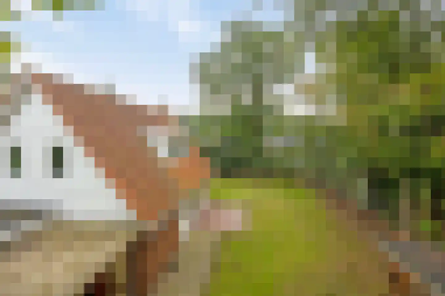 Nieuwland 3 Wapse thumbnail 36