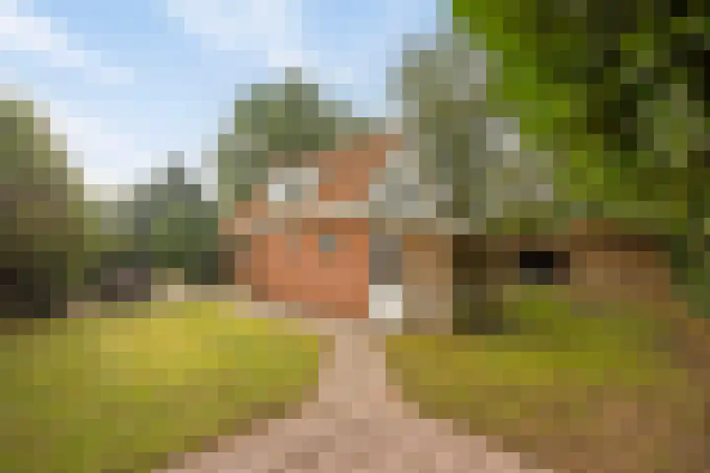 Nieuwland 3 Wapse thumbnail 4