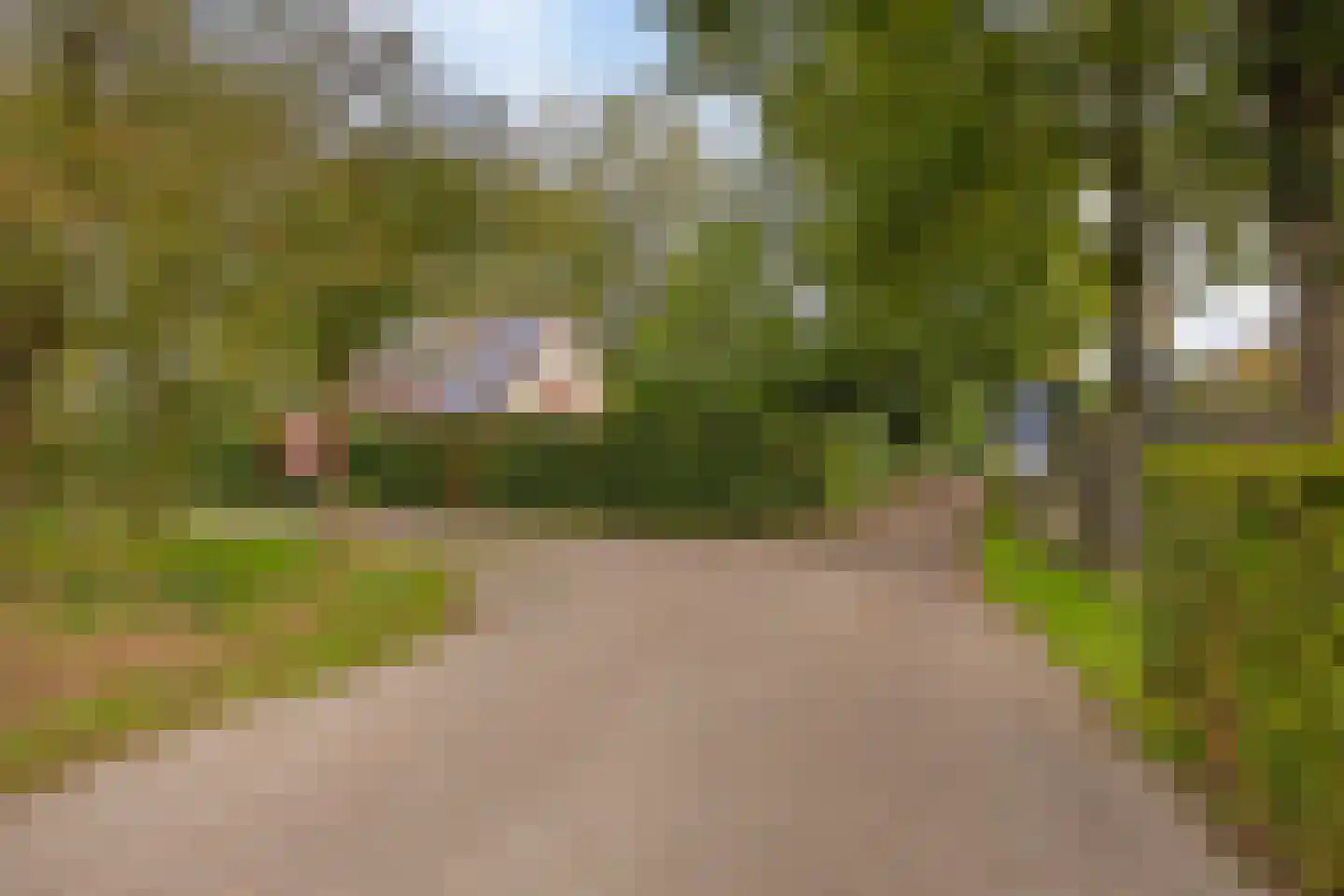 Nieuwland 3 Wapse thumbnail 40